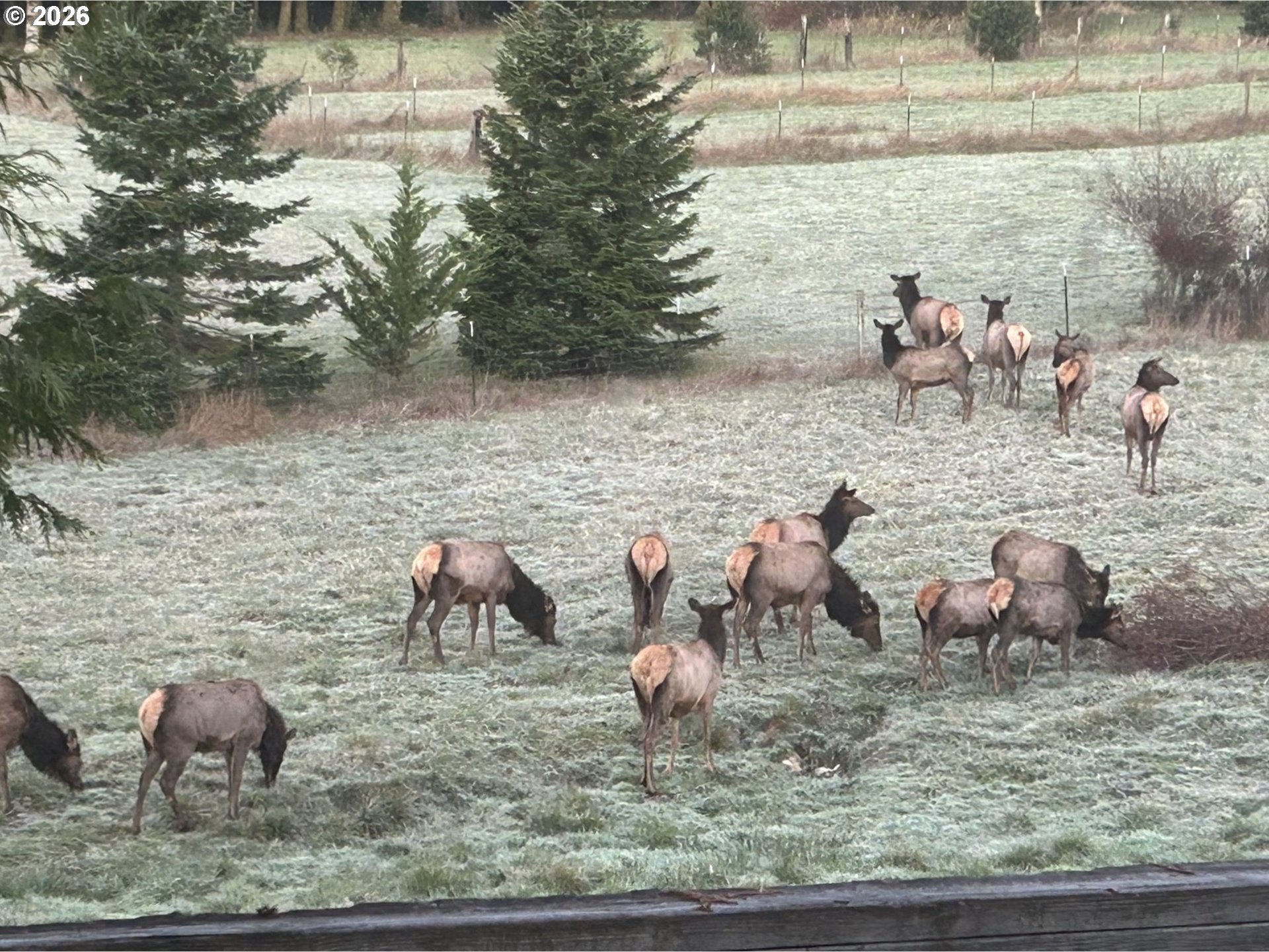75455 Meserve Road Rainier, OR 97048 - Photo 31 of 36 Acreage