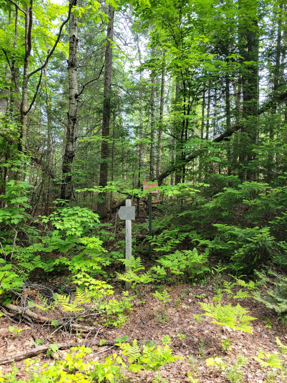 Lot 1 Moonshine Valley Road Presque Isle, WI 54557 - Photo 6 of 21 Gallery Image 6