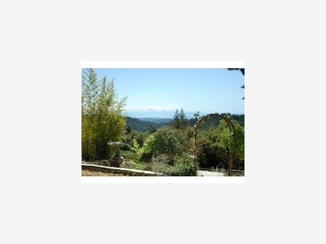 6555 Fern Flat Road Aptos, CA 95003 - Photo 8 of 9 Gallery Image 8