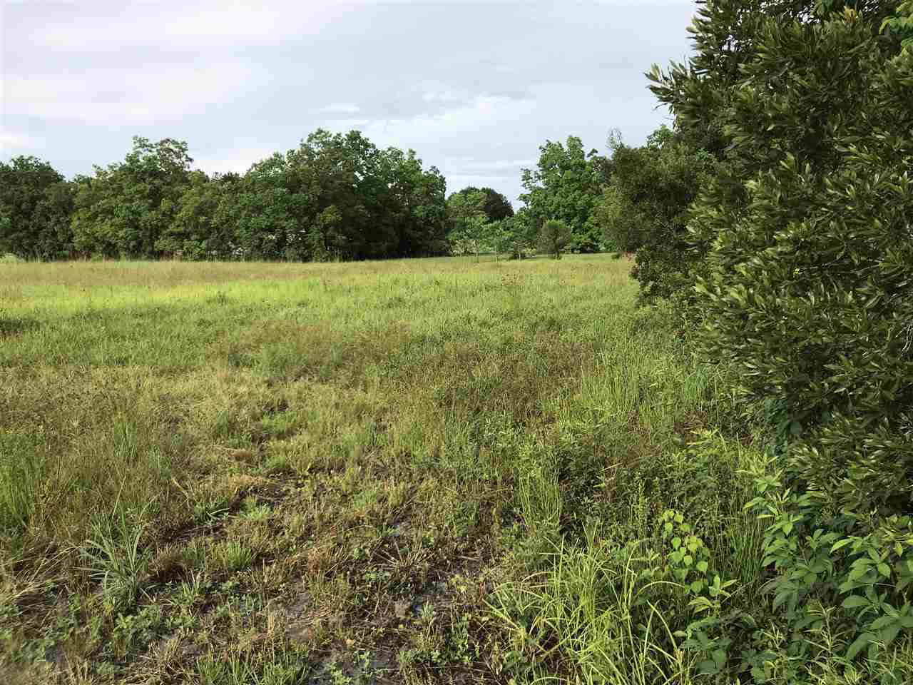 34185 B Waroad Road Stapleton, AL 36578 - Photo 8 of 9