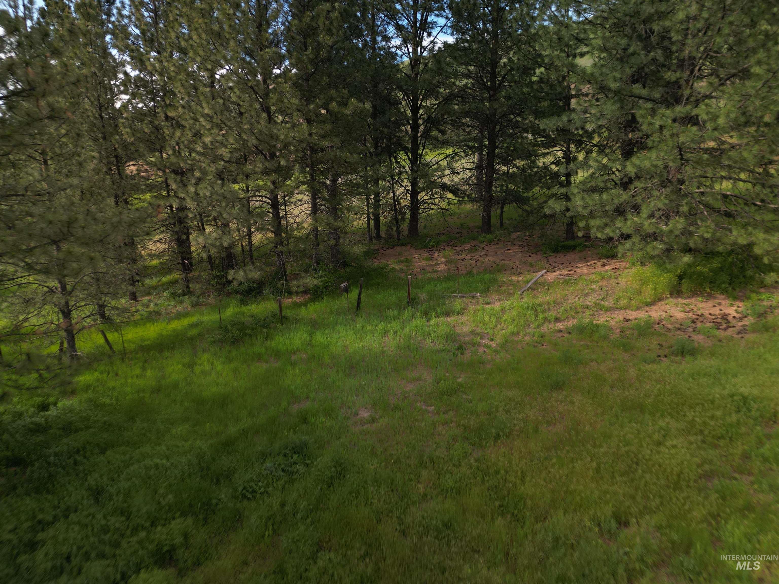 0 American Ridge Road Kendrick, ID 83537 - Photo 16 of 25