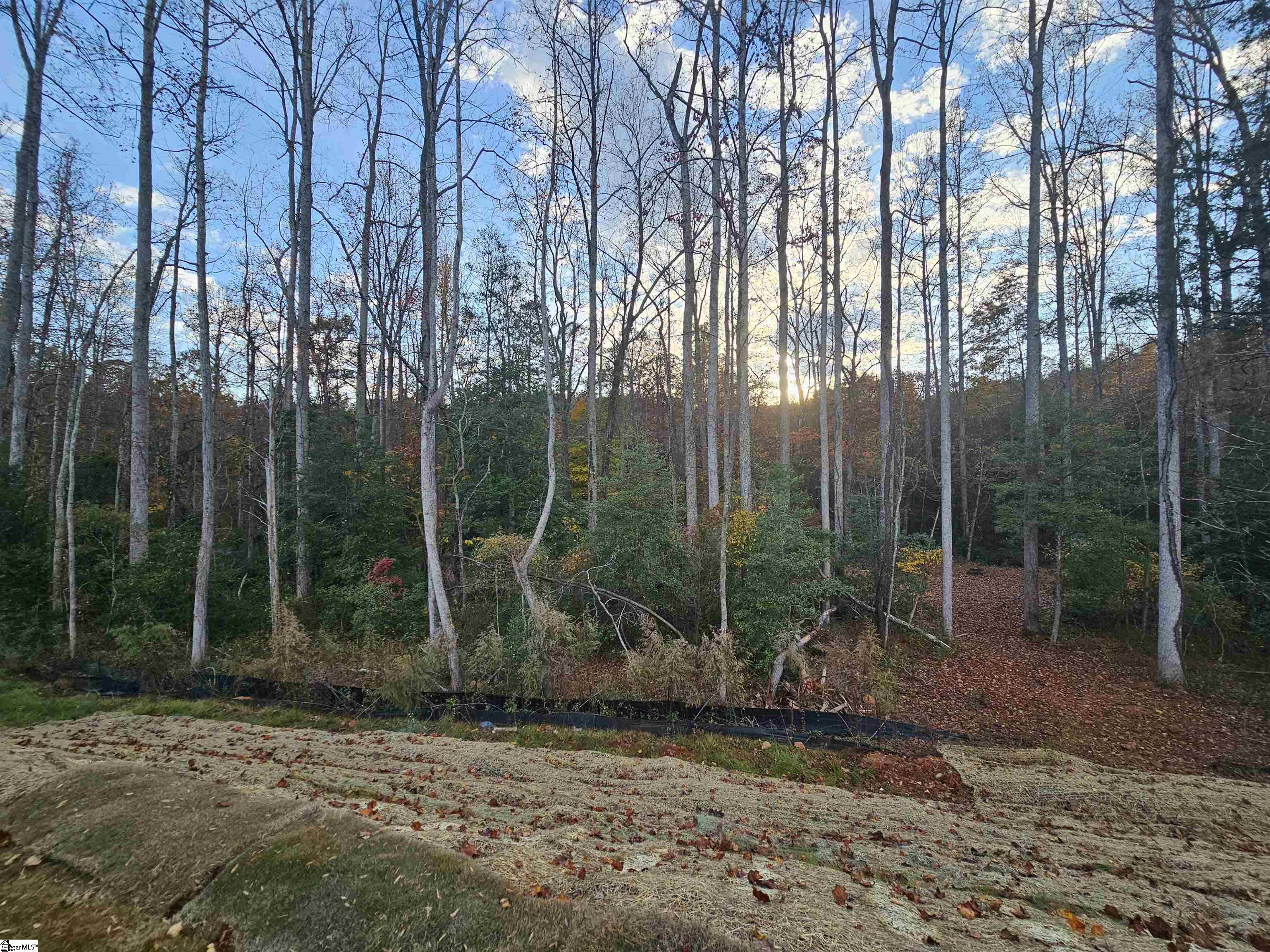 228 Jacqueline Road Piedmont, SC 29673 - Photo 27 of 29