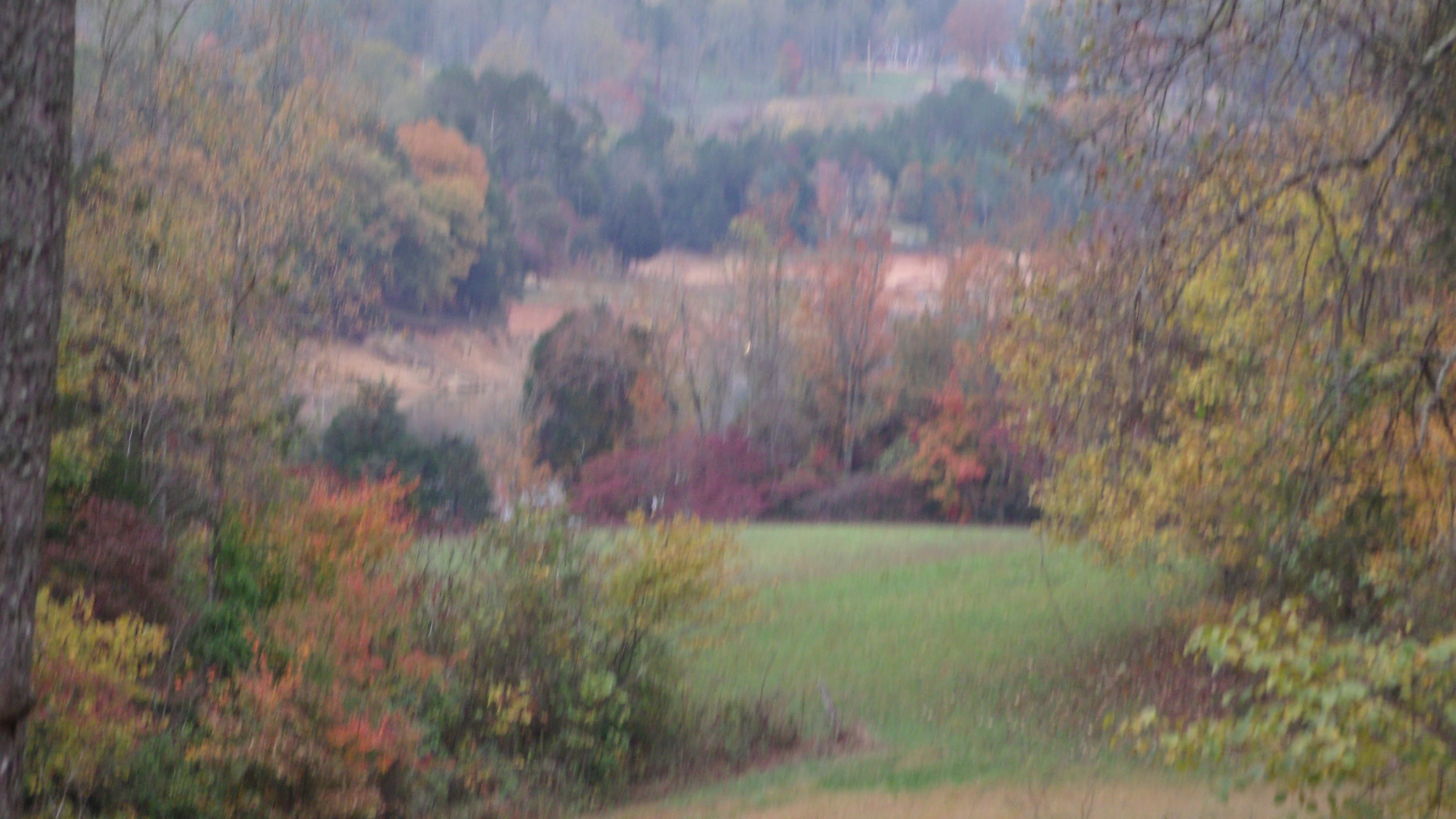 745 Stiner Road Sharps Chapel, TN 37866 - Photo 5 of 15 GEDC1968