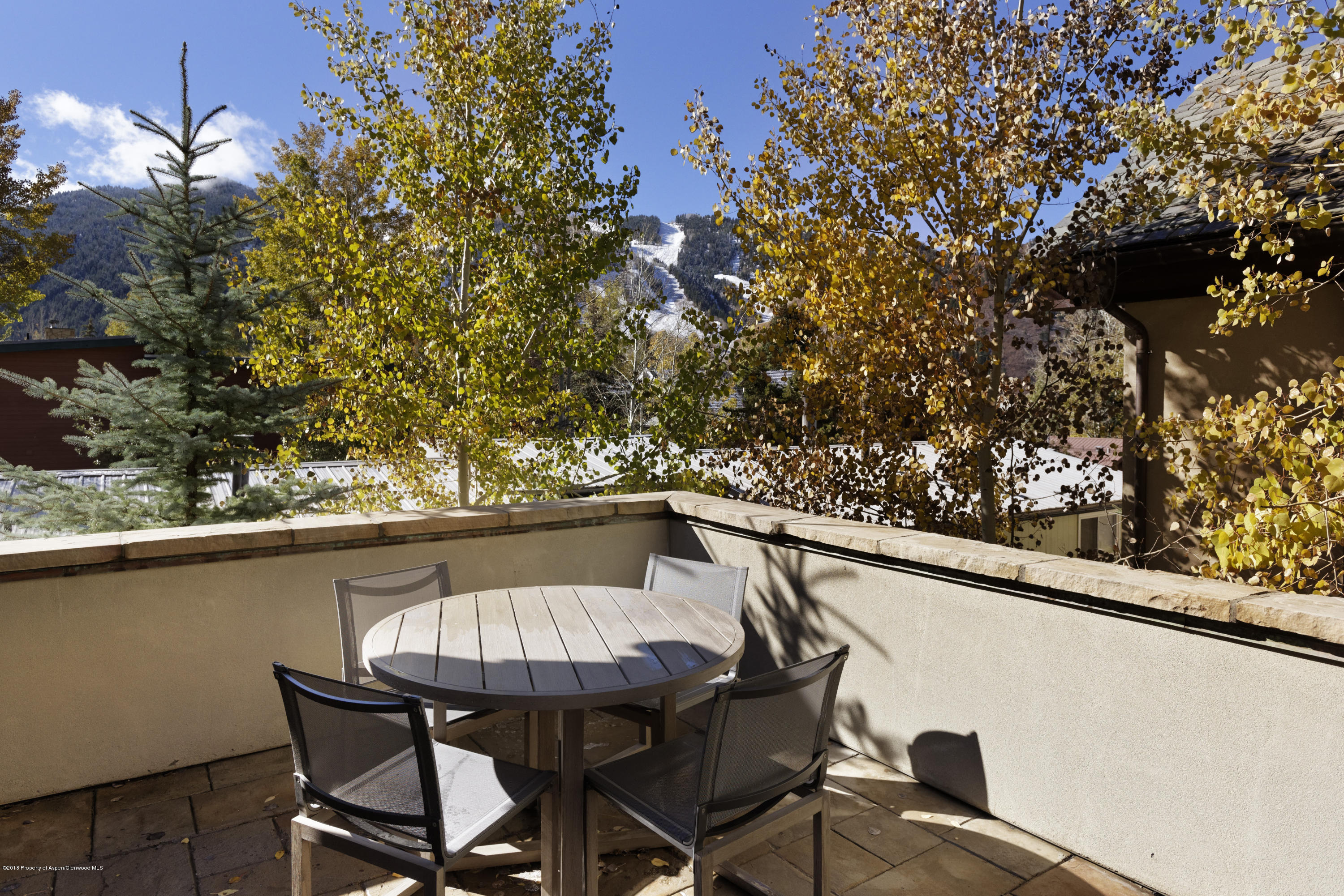 566 Race Street Aspen, CO 81611 - Photo 19 of 21 a balcony with wooden floor and fence