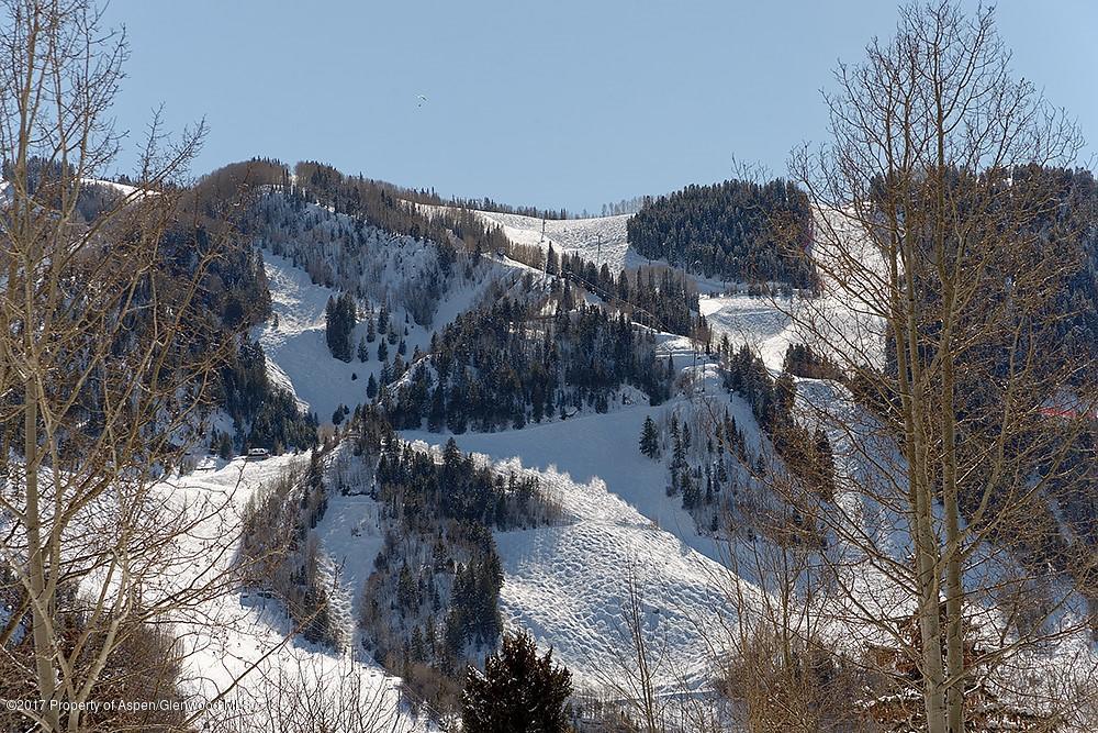 566 Race Street Aspen, CO 81611 - Photo 21 of 21