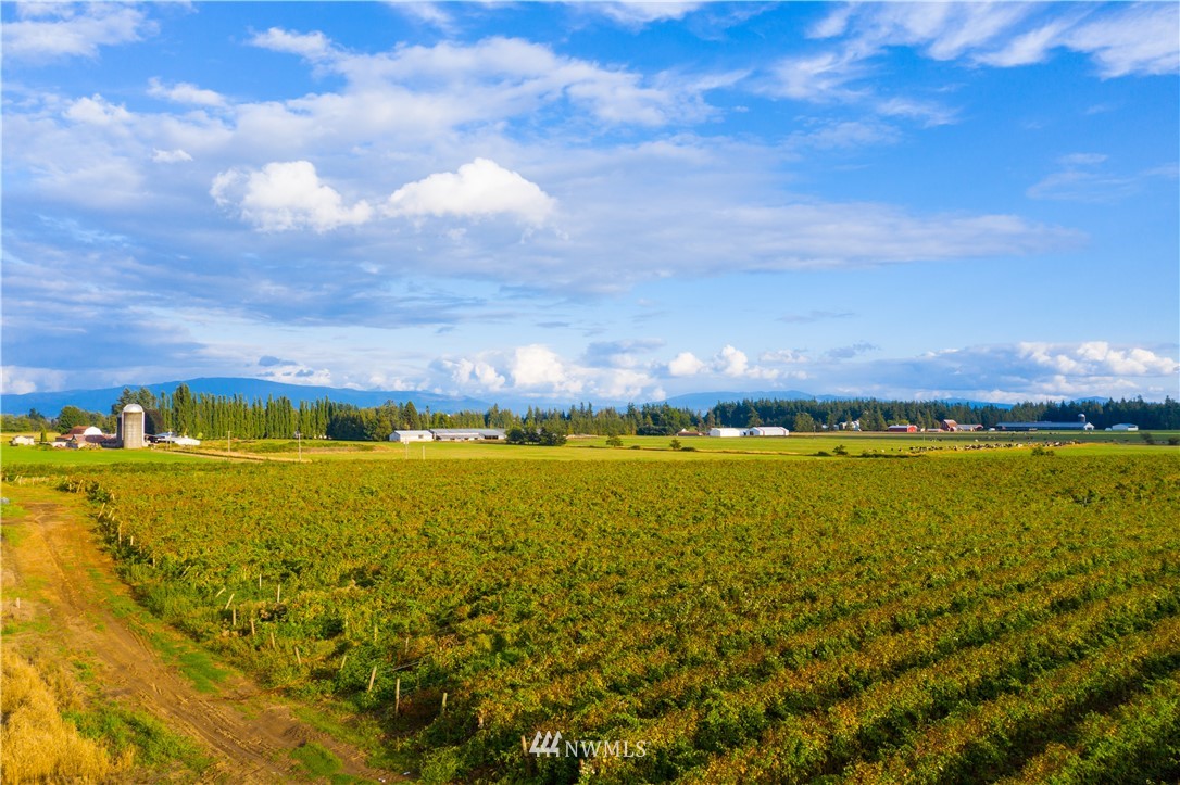 735 Barnhart Road Lynden, WA 98264 - Photo 11 of 15