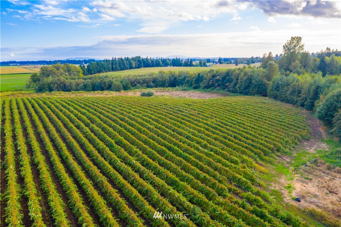 735 Barnhart Road Lynden, WA 98264 - Photo 13 of 15