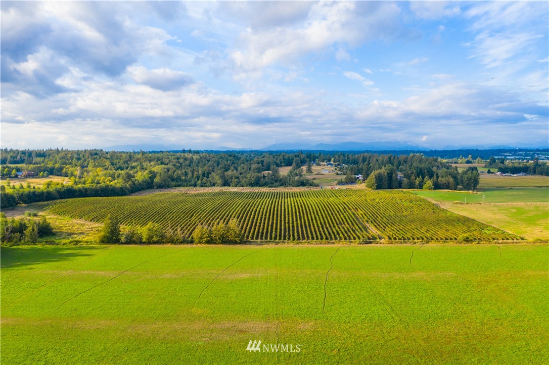 735 Barnhart Road Lynden, WA 98264 - Photo 3 of 15