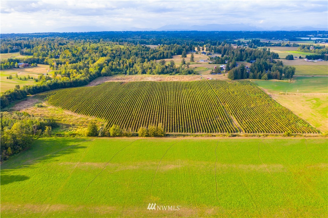735 Barnhart Road Lynden, WA 98264 - Photo 4 of 15