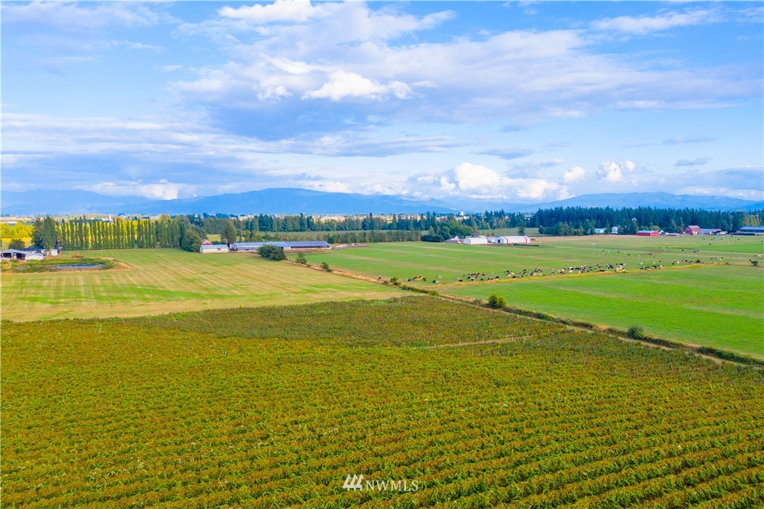 735 Barnhart Road Lynden, WA 98264 - Photo 5 of 15