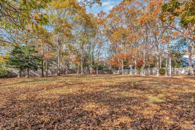a view of a field with trees in background