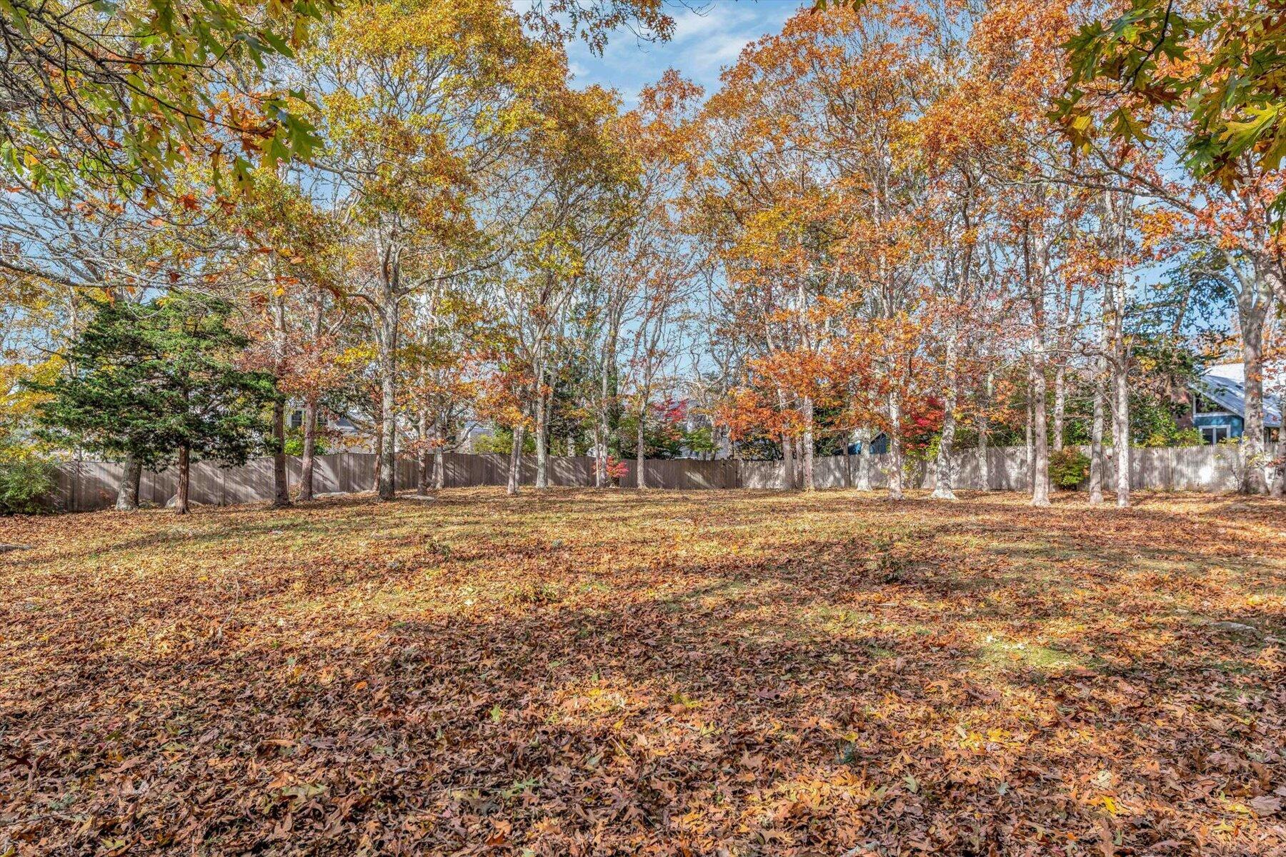 37 Nemsaket Road Falmouth, MA 02540 - Photo 1 of 13 a view of a field with trees in background