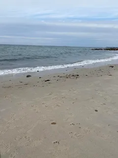 a view of beach and ocean
