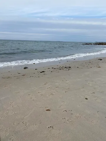 a view of beach and ocean