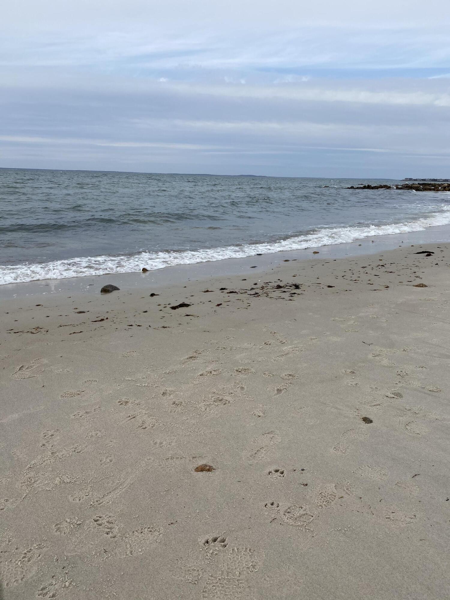 37 Nemsaket Road Falmouth, MA 02540 - Photo 11 of 13 a view of beach and ocean