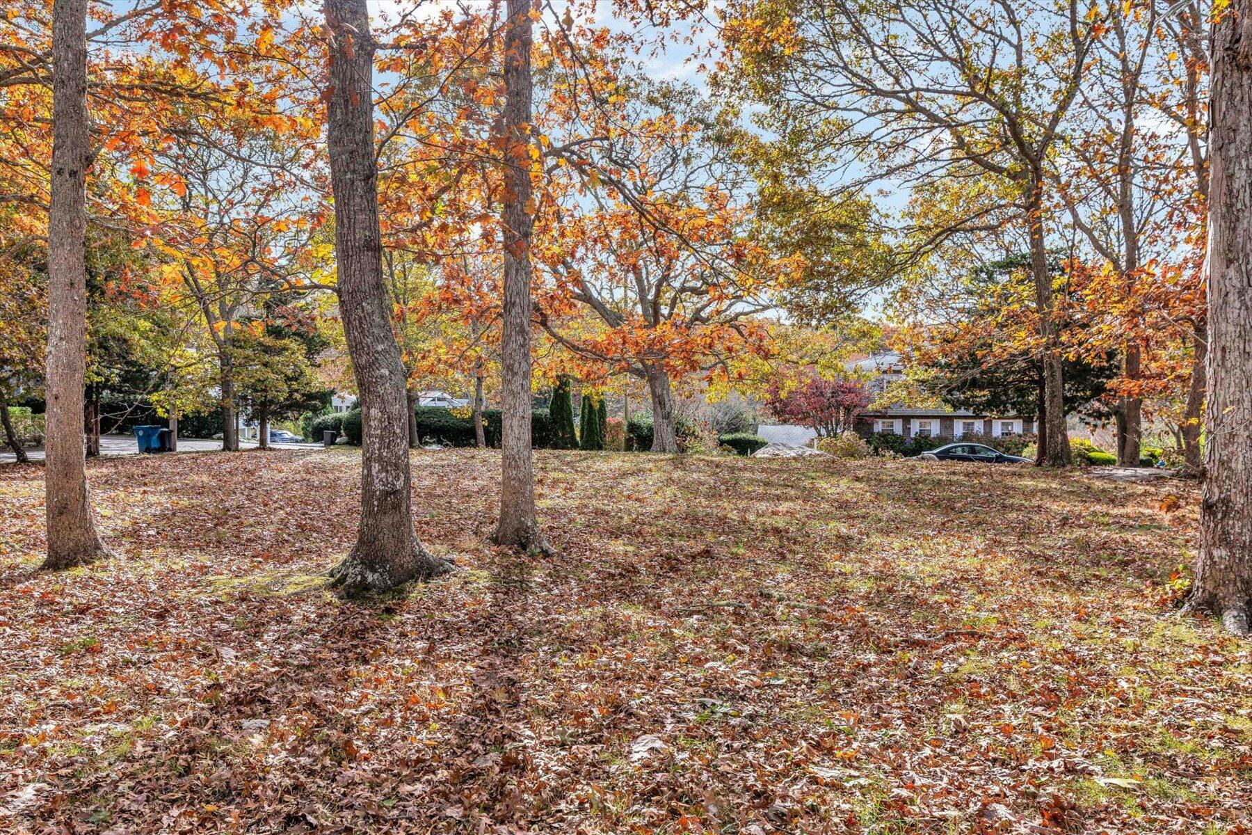 37 Nemsaket Road Falmouth, MA 02540 - Photo 3 of 13 a view of road with trees