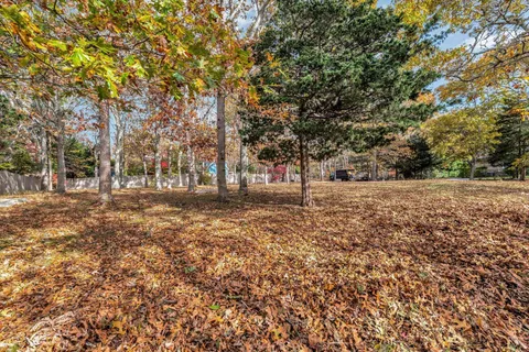 a view of outdoor space with trees