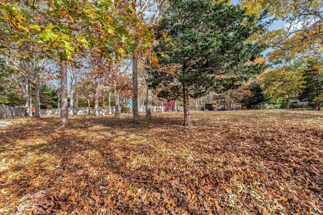 a view of outdoor space with trees