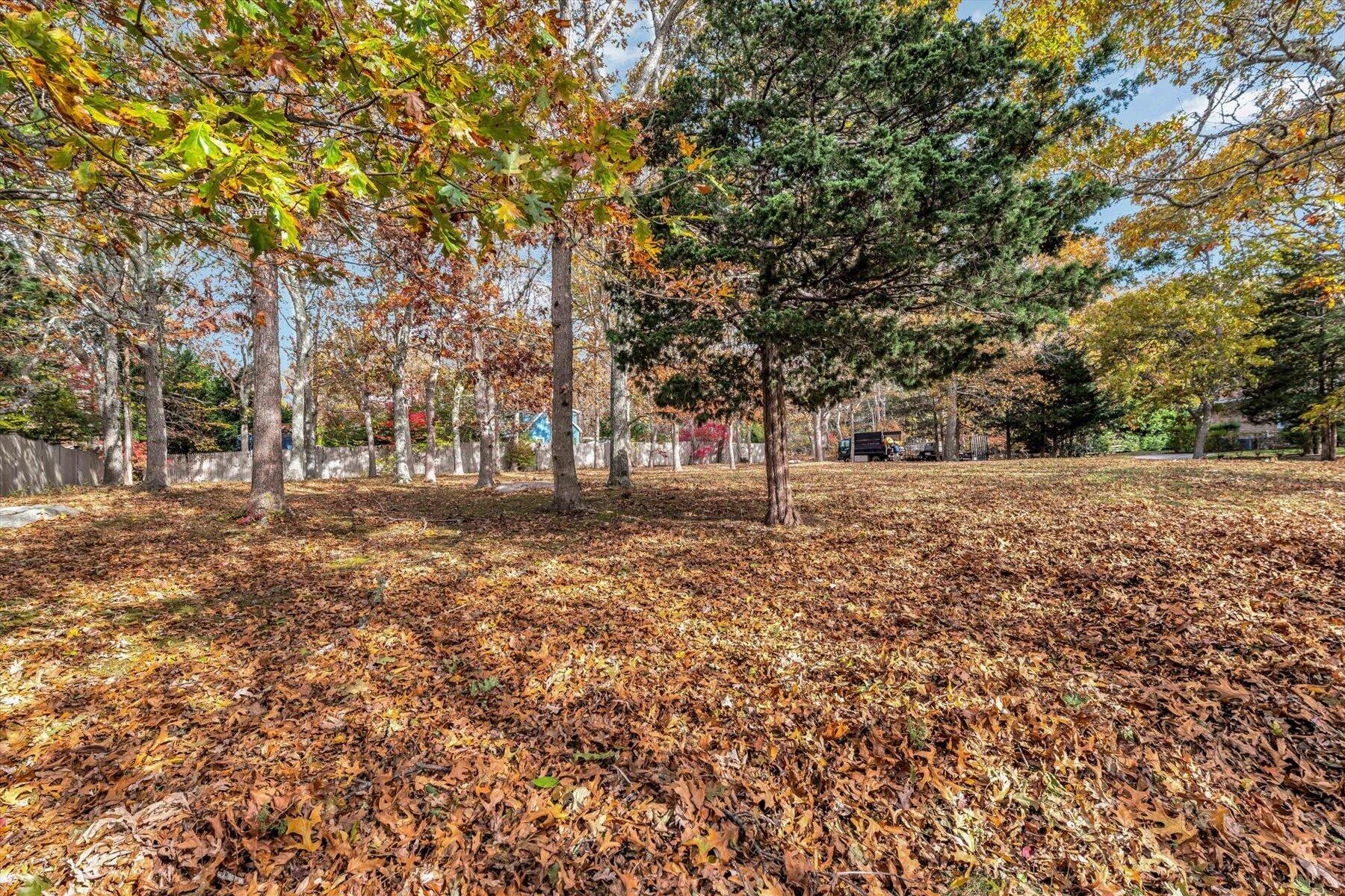 37 Nemsaket Road Falmouth, MA 02540 - Photo 4 of 13 a view of outdoor space with trees