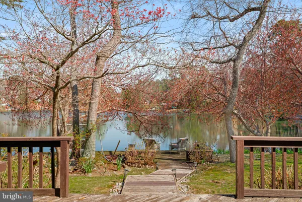 a view of a yard