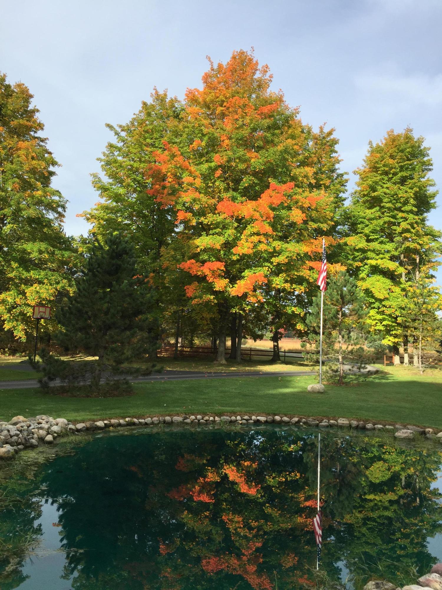 11449 Sherman Road Frederic, MI 49733 - Photo 20 of 30 Gallery Image 20