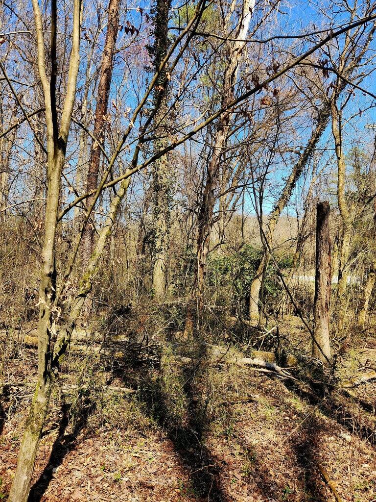 8813 Gann Road, Unit 5 Soddy Daisy, TN 37379 - Photo 11 of 13 8813 Gann 4