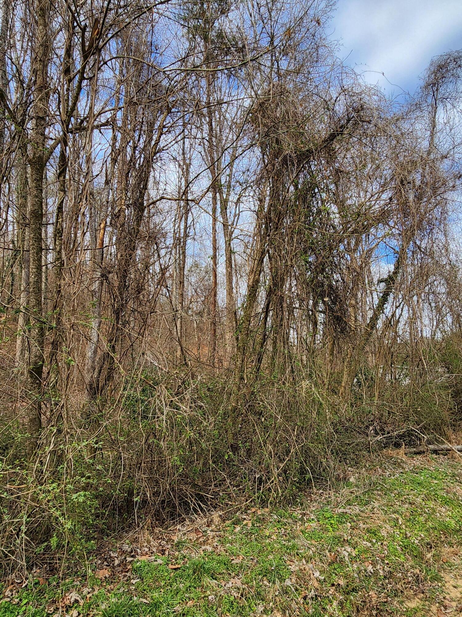 8813 Gann Road, Unit 5 Soddy Daisy, TN 37379 - Photo 4 of 13 20260122_142722