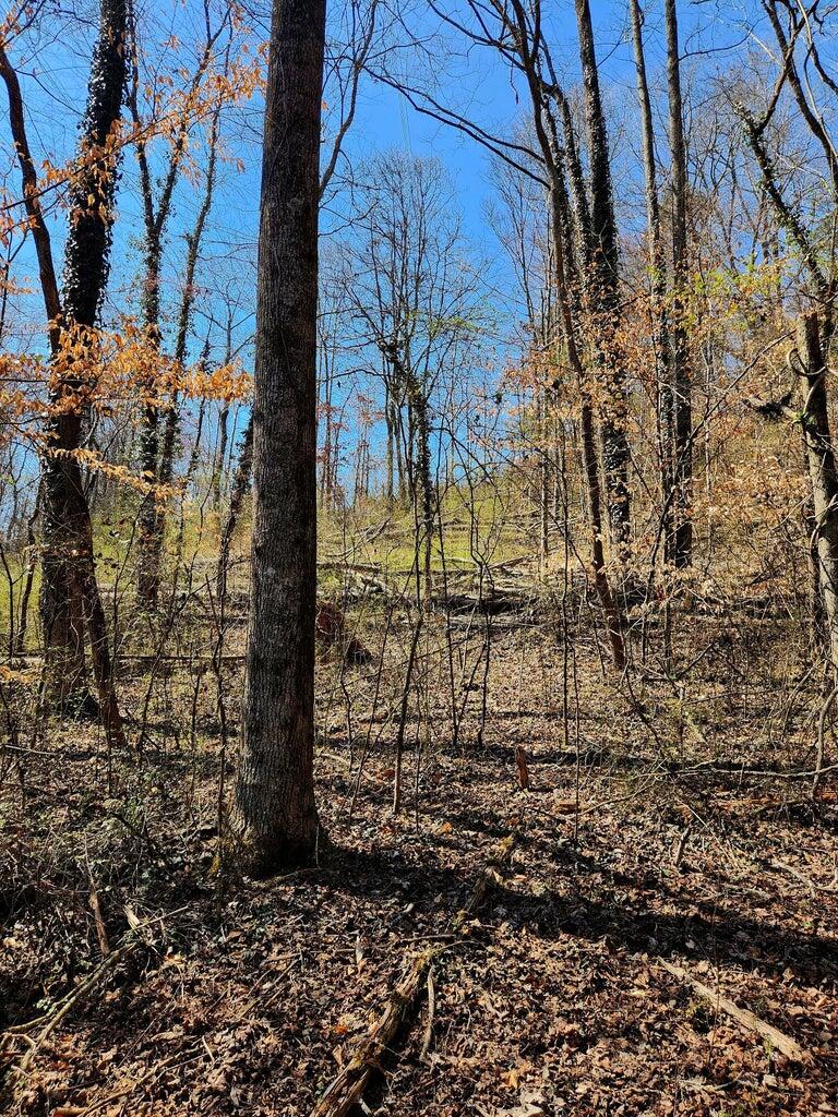 8813 Gann Road, Unit 5 Soddy Daisy, TN 37379 - Photo 9 of 13 8813 Gann 2