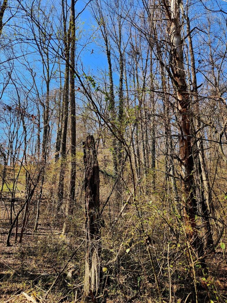 8813 Gann Road, Unit 5 Soddy Daisy, TN 37379 - Photo 10 of 13 8813 Gann 3