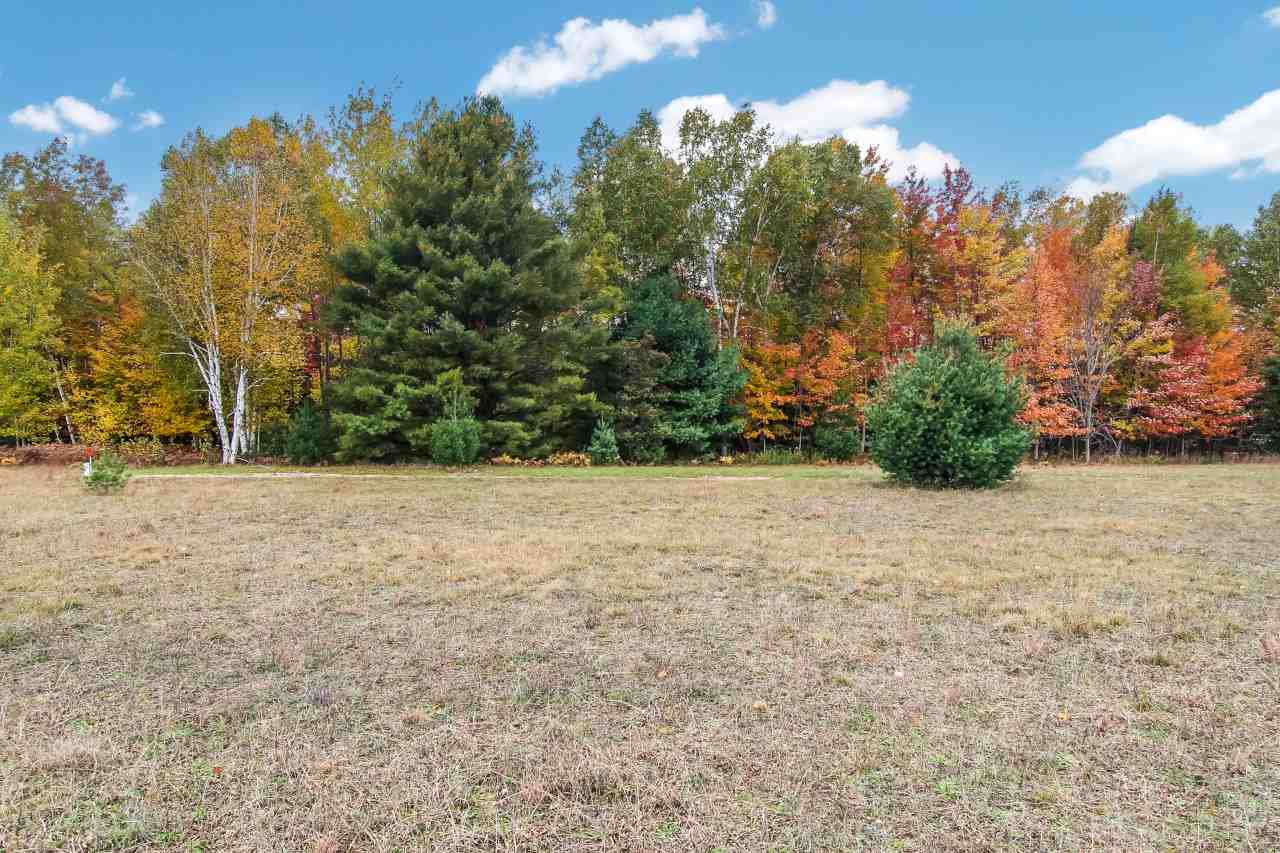 7423 Bennett Road Williamsburg, MI 49690 - Photo 23 of 39 1881111-22.JPG