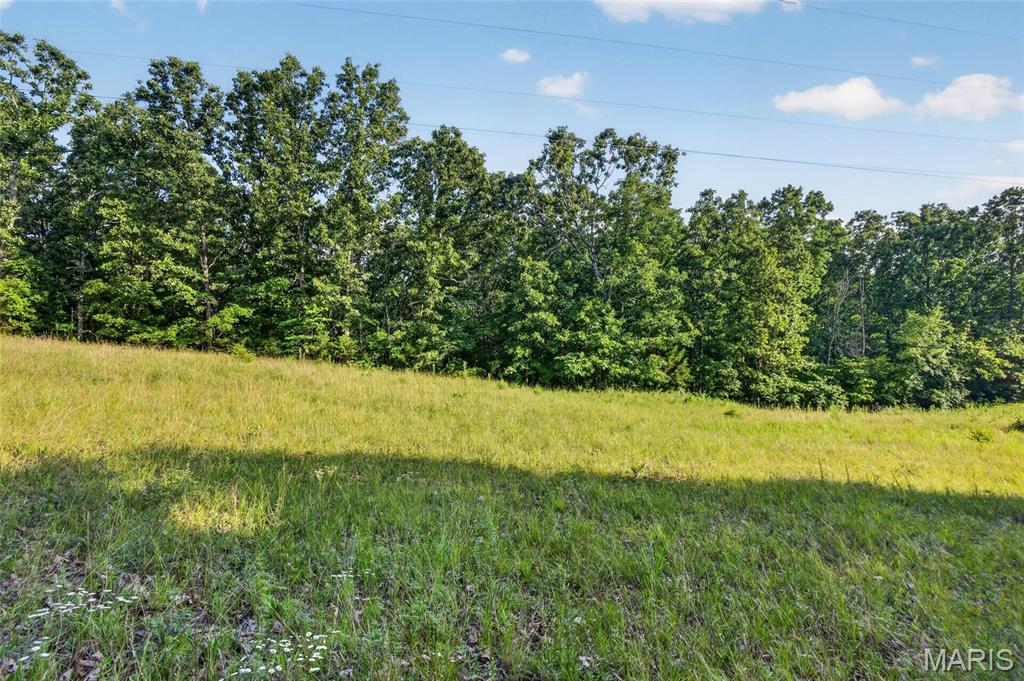 5 Cantrell Road Mansfield, MO 65704 - Photo 11 of 16