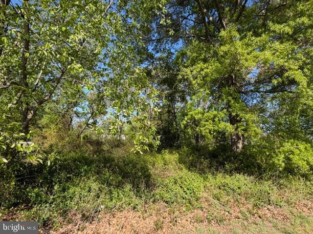 209 3rd Street Crumpton, MD 21628 - Photo 101 of 108