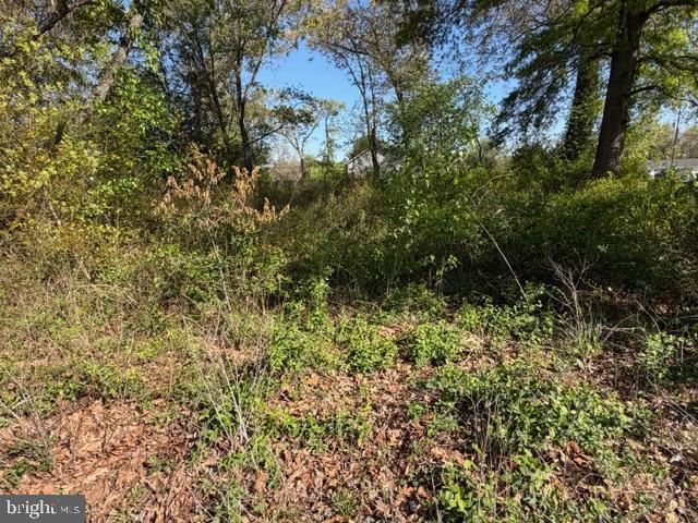 209 3rd Street Crumpton, MD 21628 - Photo 102 of 108