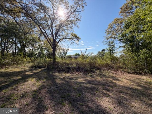 209 3rd Street Crumpton, MD 21628 - Photo 103 of 108