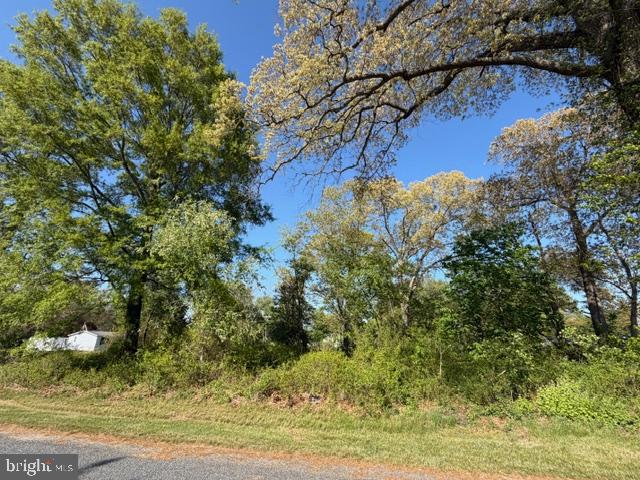 209 3rd Street Crumpton, MD 21628 - Photo 104 of 108