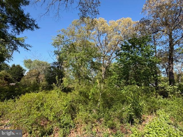 209 3rd Street Crumpton, MD 21628 - Photo 105 of 108