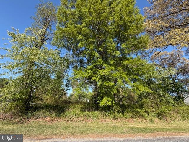 209 3rd Street Crumpton, MD 21628 - Photo 106 of 108