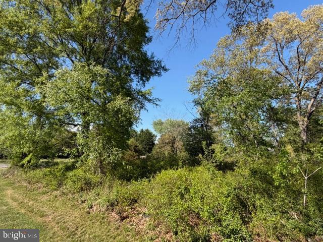 209 3rd Street Crumpton, MD 21628 - Photo 108 of 108 Pine St. - adjoining lot looking toward 3rd St