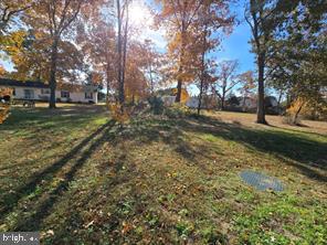 209 3rd Street Crumpton, MD 21628 - Photo 92 of 108 a view of backyard with green space
