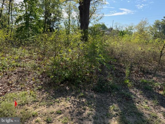 209 3rd Street Crumpton, MD 21628 - Photo 96 of 108 View of adjoining lot from property line/backyard