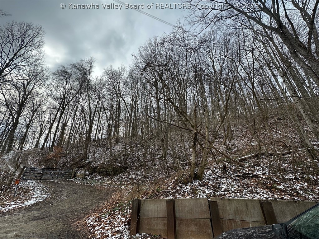 0 Rocky Step Road Winfield, WV 25213 - Photo 2 of 8 Gallery Image 2