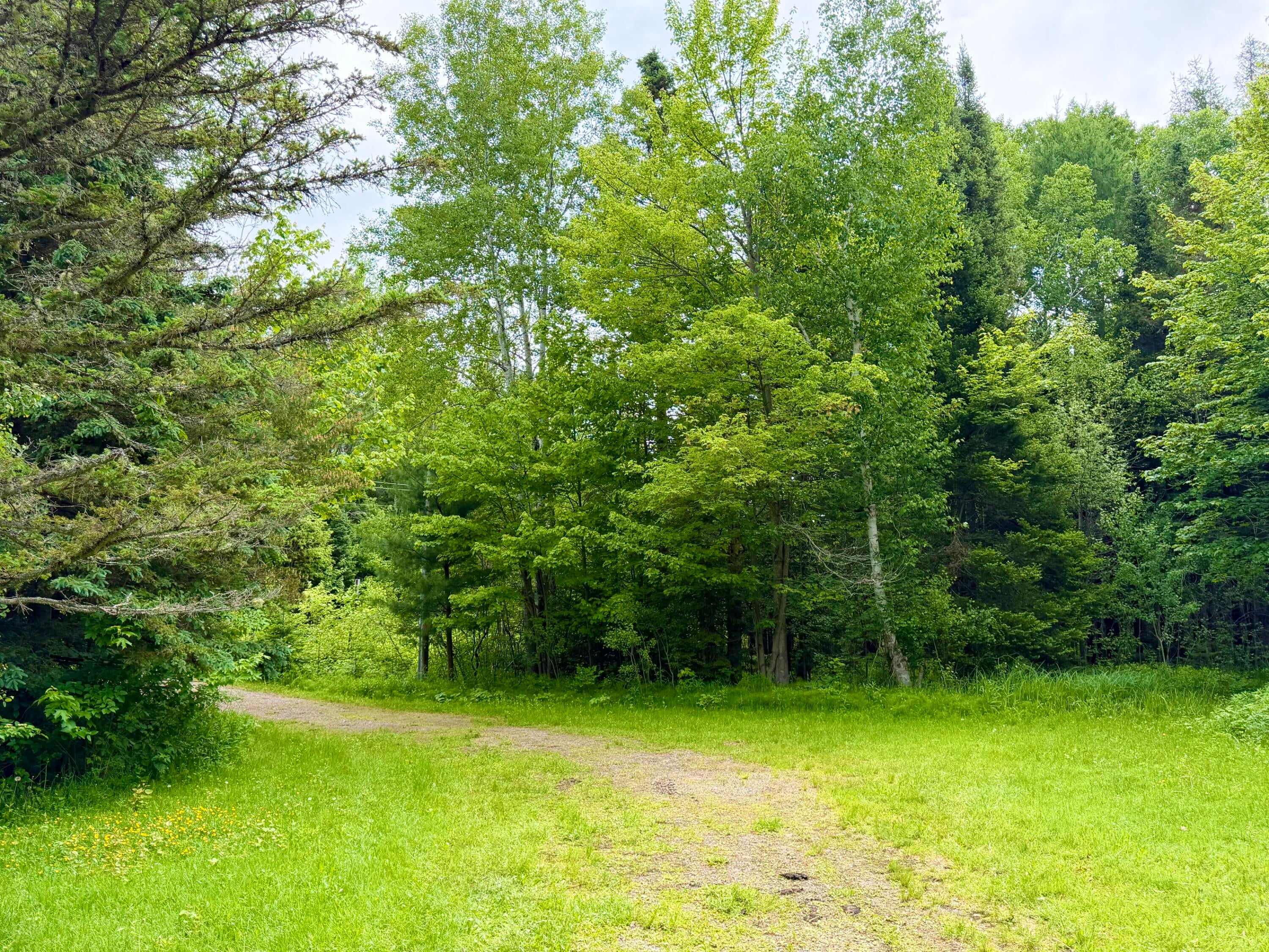 7726 South Forrest Side Road Brimley, MI 49715 - Photo 44 of 54 Gallery Image 44