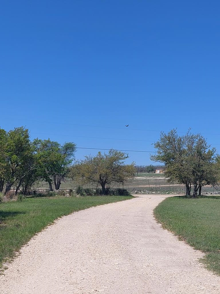943 Lange Road Harper, TX 78631 - Photo 1 of 14 Main View