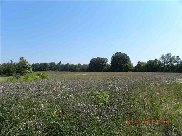 0 Northwest Doty Road Pickerington, OH 43147 - Photo 2 of 3