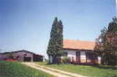 5310 Ostrum Road Belding, MI 48809 - Photo 1 of 1 Primary Photo