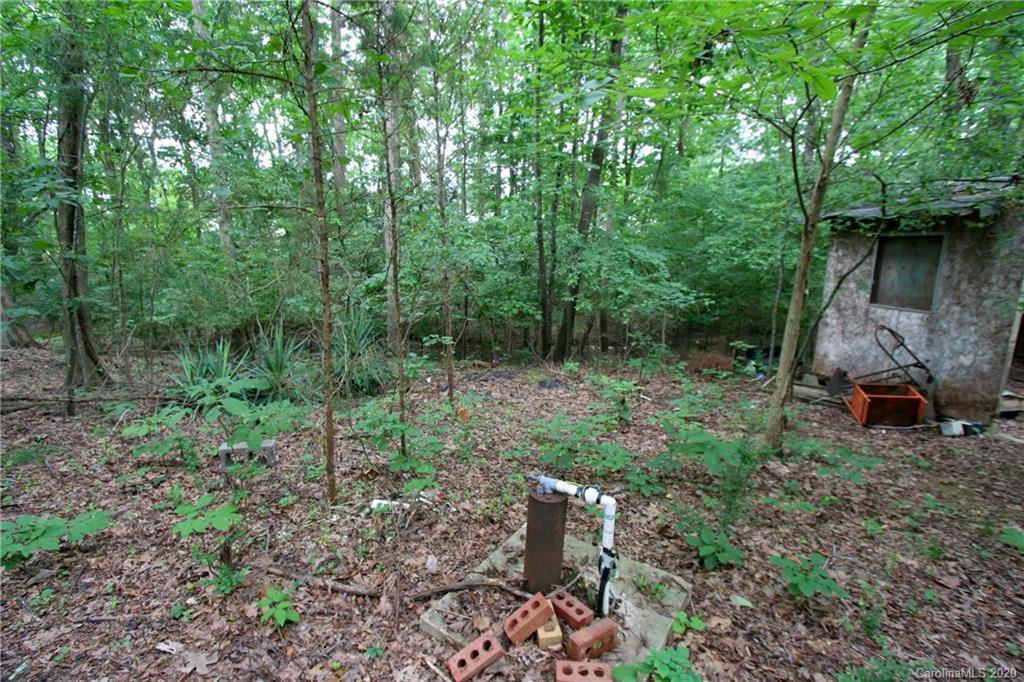 1400 Pleasant Plains Road Matthews, NC 28105 - Photo 13 of 31 a view of a lush green forest