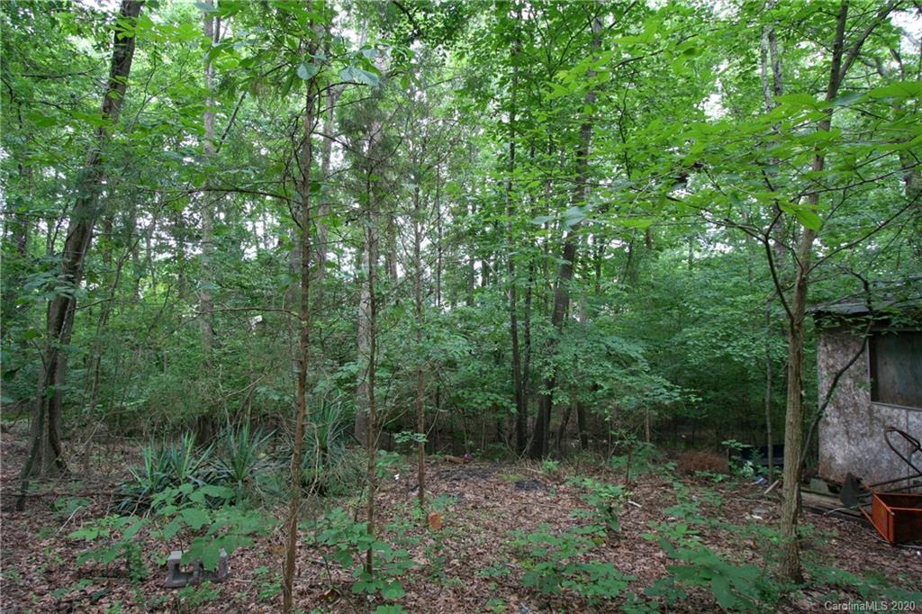 1400 Pleasant Plains Road Matthews, NC 28105 - Photo 14 of 31 a view of a forest with trees