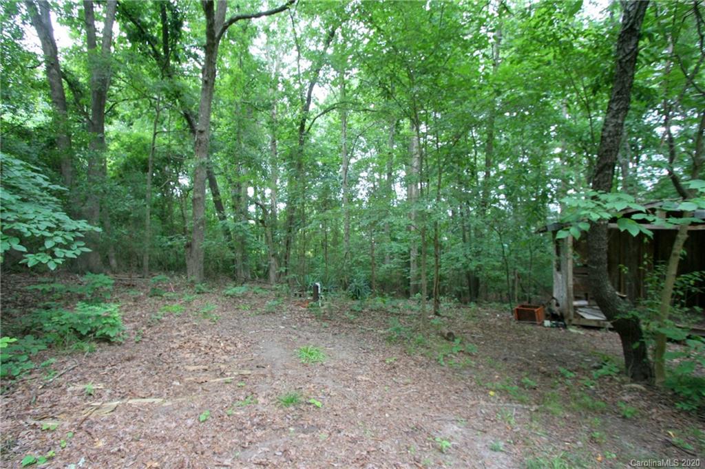 1400 Pleasant Plains Road Matthews, NC 28105 - Photo 15 of 31 a view of a forest with trees in the background