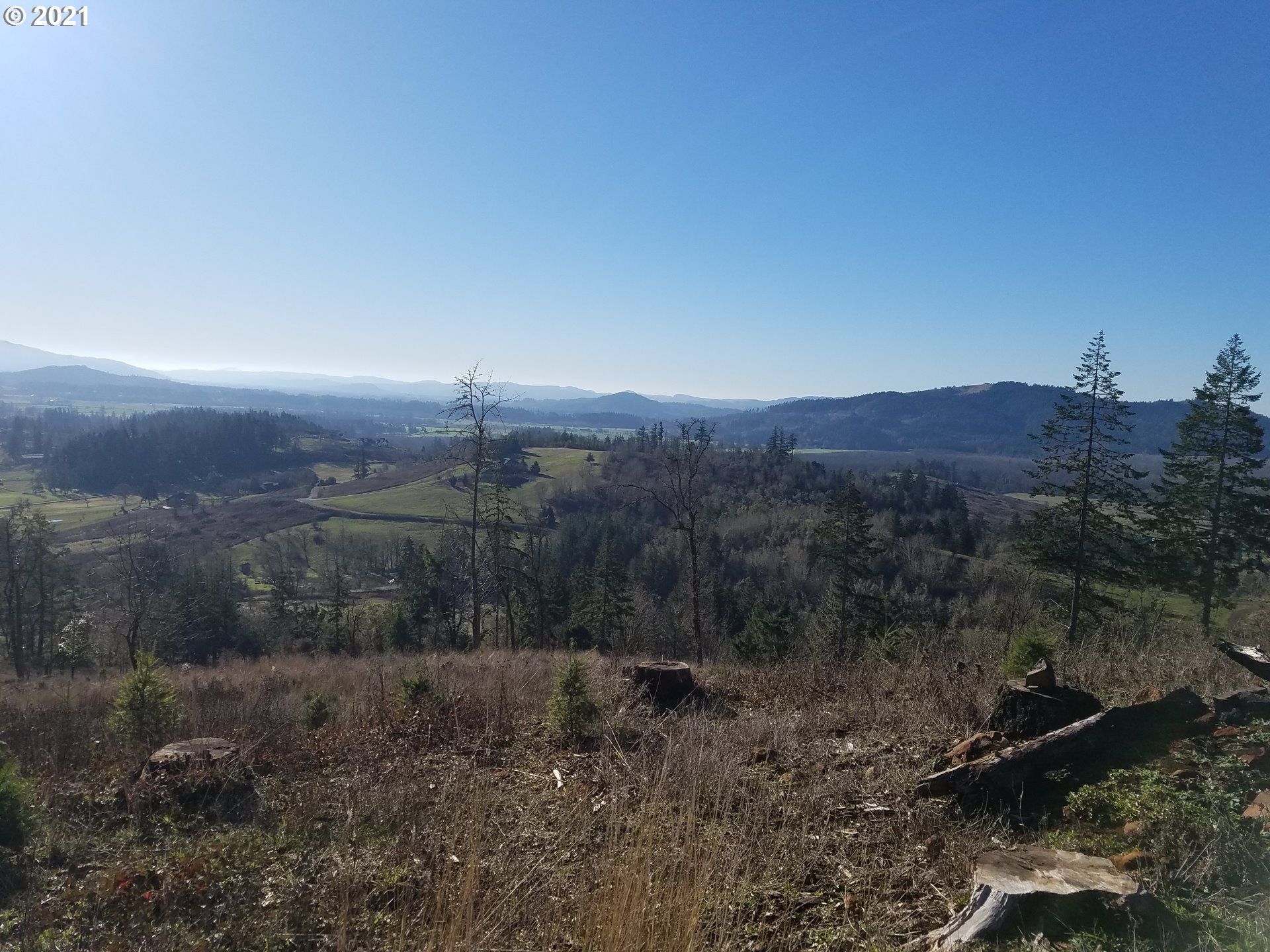 4 R R R.R. Baker Road Springfield, OR 97478 - Photo 2 of 32