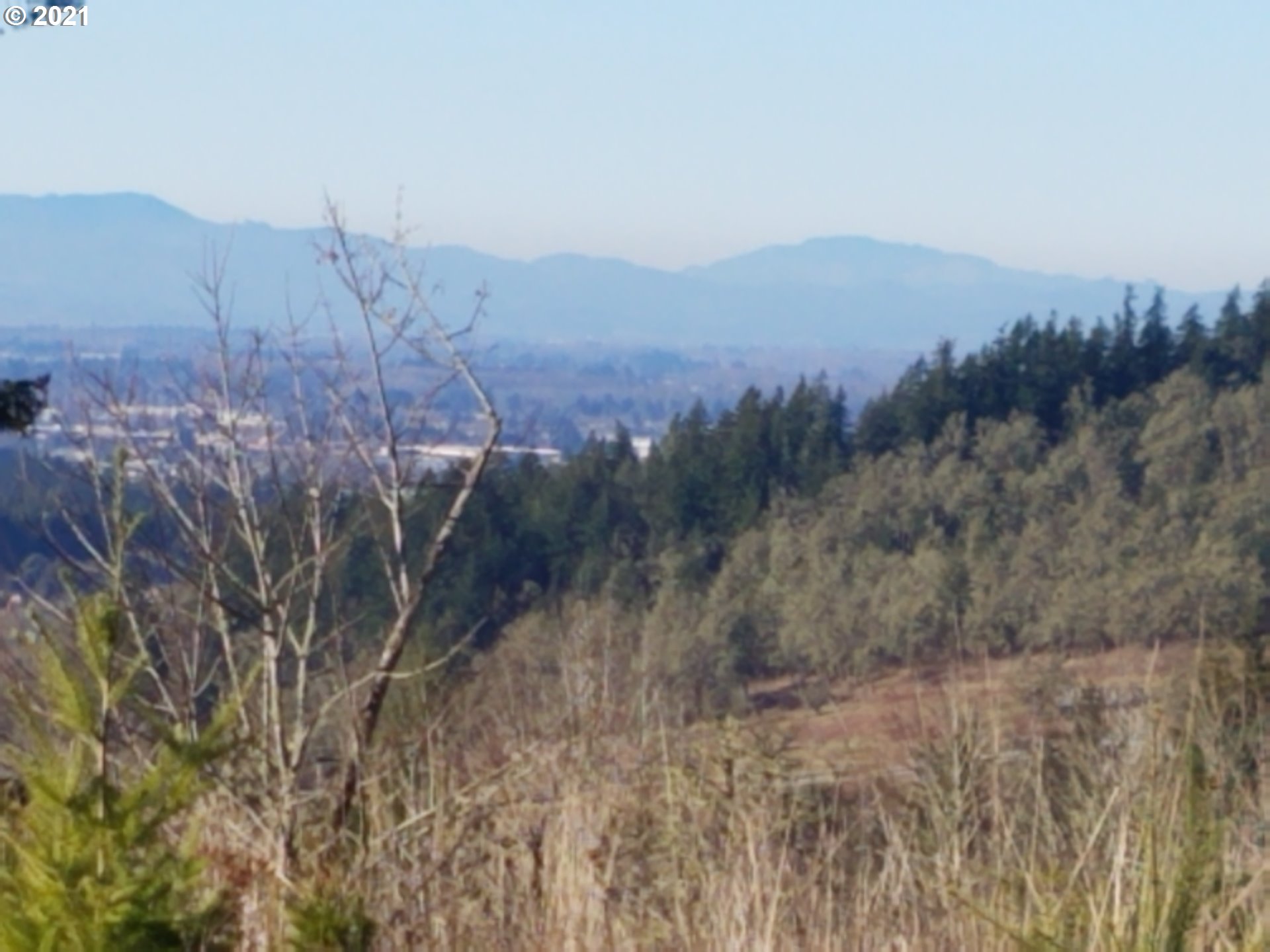 4 R R R.R. Baker Road Springfield, OR 97478 - Photo 11 of 32